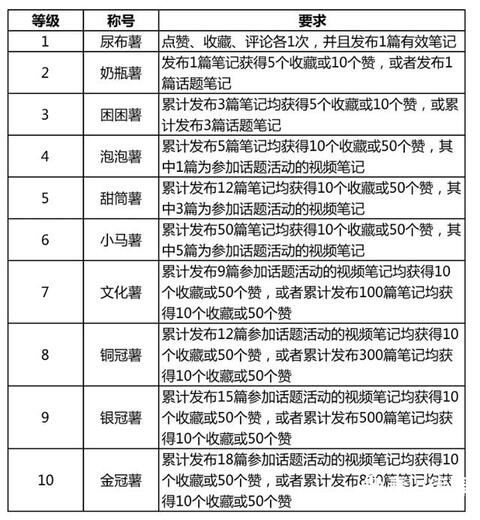 小紅書產品分析報告！