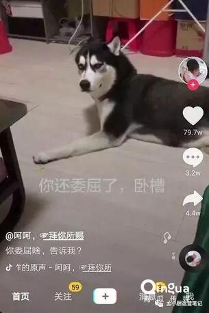 怎么做抖音？抖音6種運(yùn)營推廣技巧！