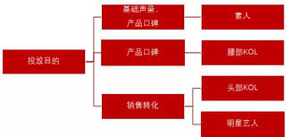 明星、KOL、素人，小紅書品牌投放選誰比較好？